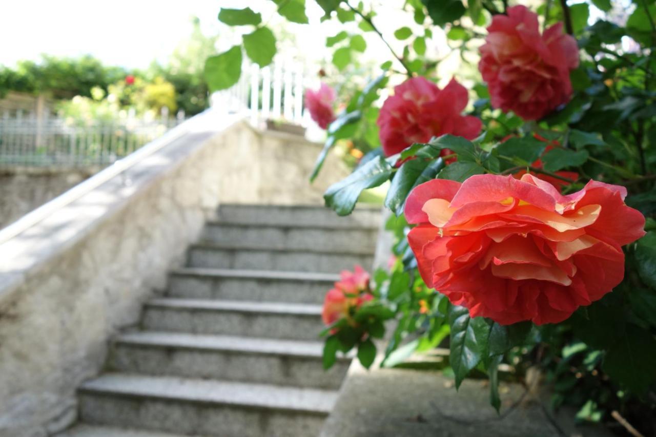 Villa Sonnenstrahl Mariánské Lázně Eksteriør billede