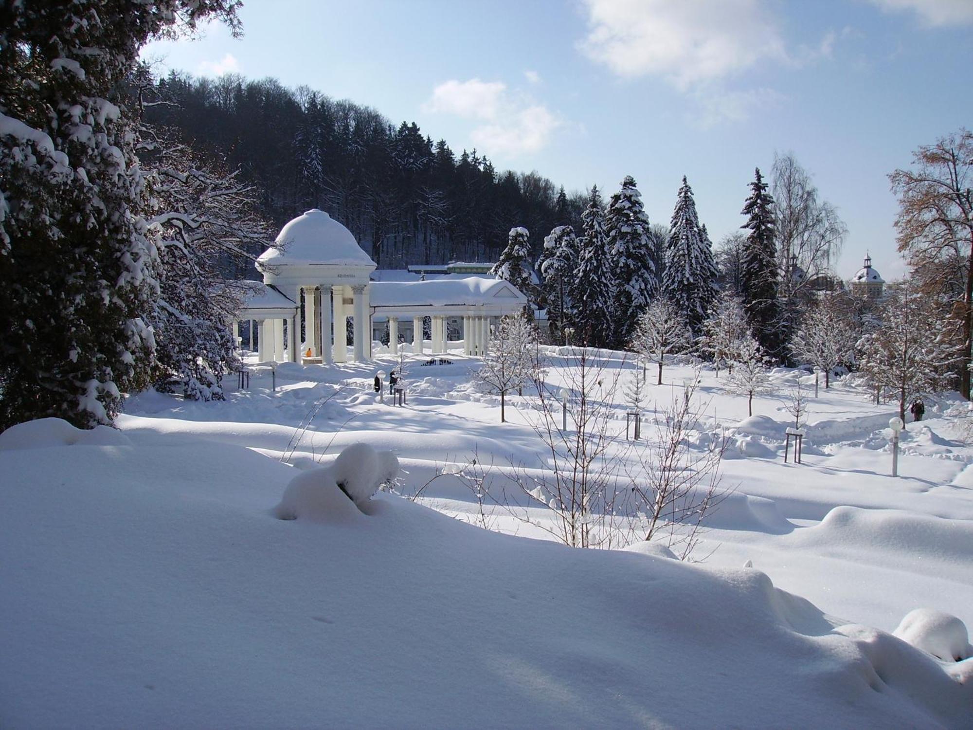 Villa Sonnenstrahl Mariánské Lázně Eksteriør billede